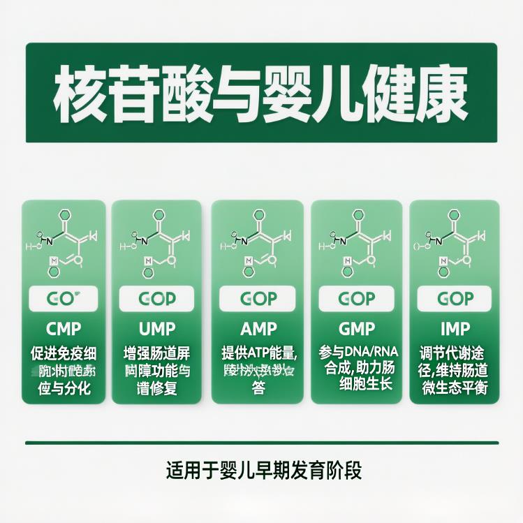 哪款2段奶粉含有核苷酸？免疫与肠道发育的关键成分解析