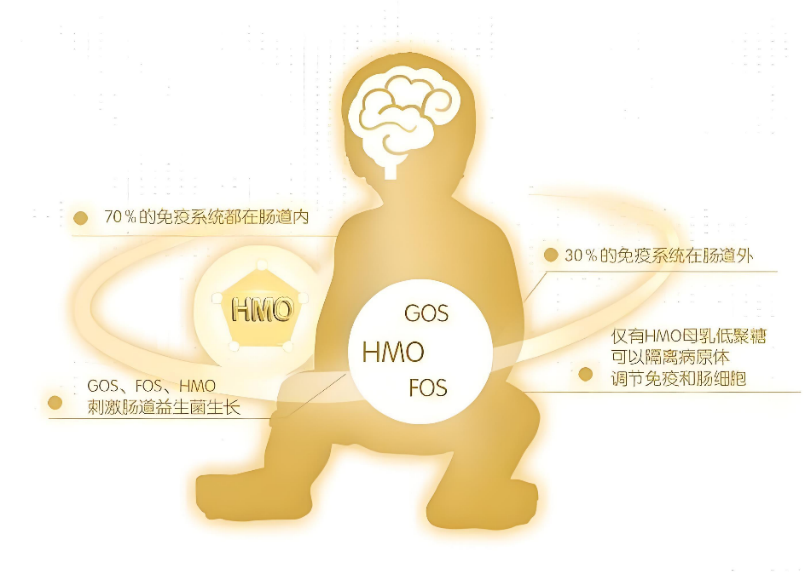 营养全面的HMO奶粉品牌有哪些？一文理清选购思路